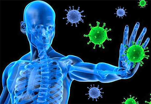 Natural Remedies To Boost Immune System With Video By Sachin Goyal